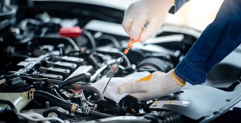Why You Really Do Need a Professional Auto Repair Service