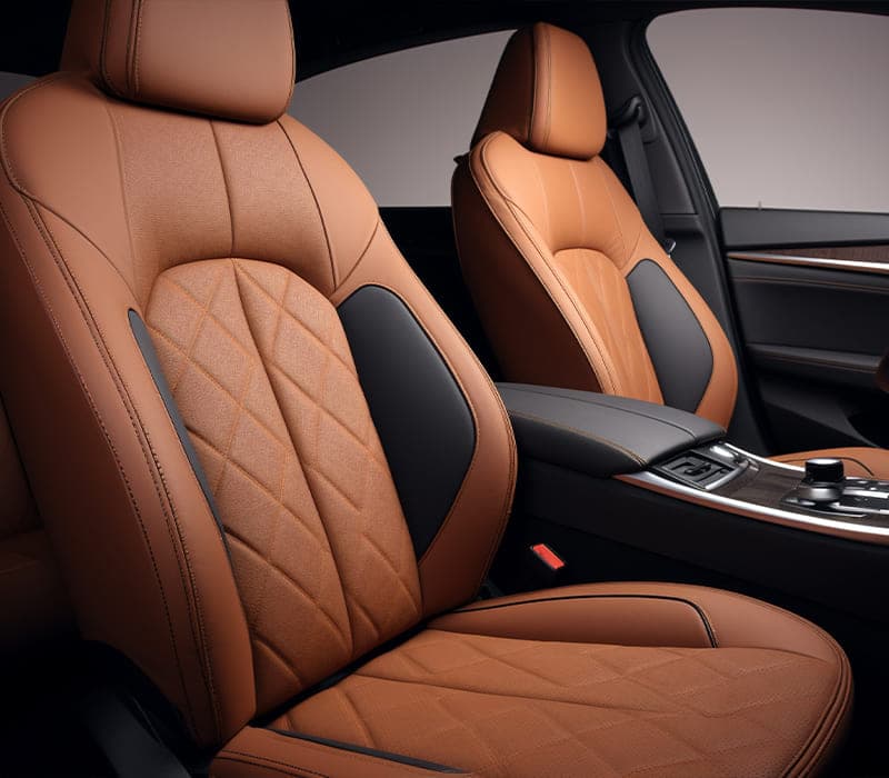 Premium Leather Interior
